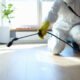 Professional pest control technician applying safe and effective solution to eliminate unwanted pests at home